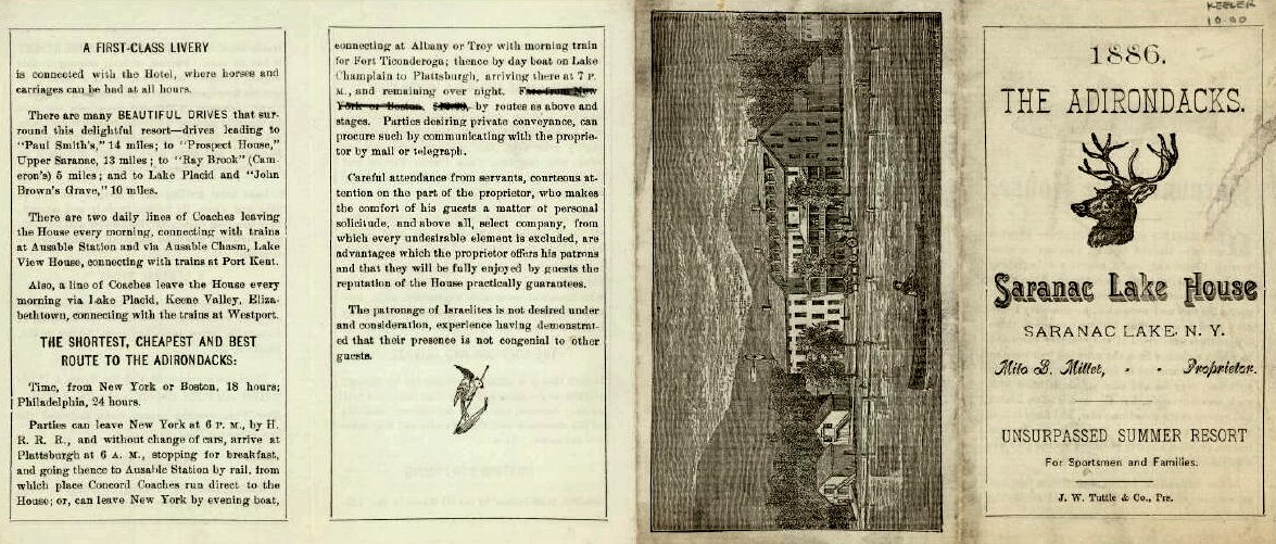 14164.jpg