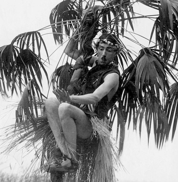 missionary up a palm x.jpg