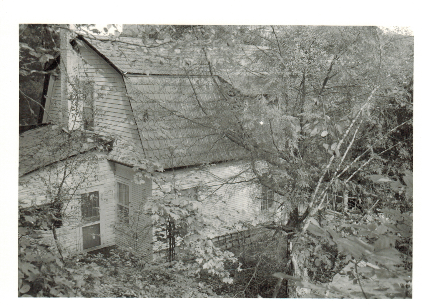 3MapleHillTheHomesteadSept1991SouthWest.jpeg