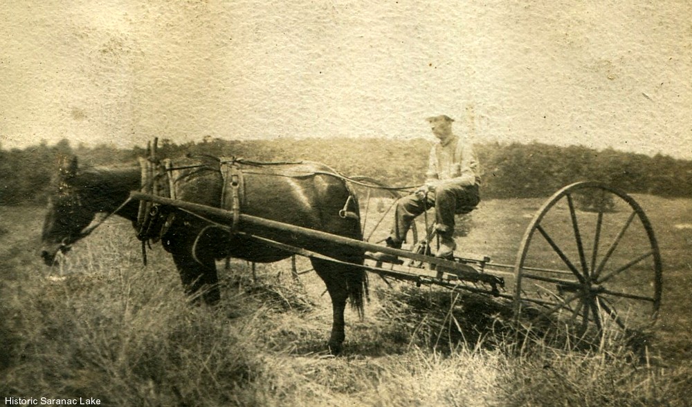 Edwin Johnson 18.jpg