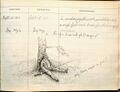Thumbnail for version as of 01:54, 21 April 2024