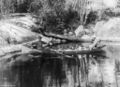 Thumbnail for version as of 16:46, 21 April 2024