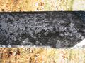 Thumbnail for version as of 03:12, 22 April 2024
