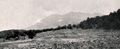 Thumbnail for version as of 07:48, 21 April 2024