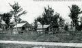 Thumbnail for version as of 00:33, 22 April 2024