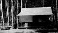 Thumbnail for version as of 04:24, 22 April 2024