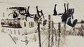 Thumbnail for version as of 10:02, 21 April 2024