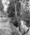 Thumbnail for version as of 13:17, 21 April 2024