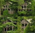 Thumbnail for version as of 17:05, 21 April 2024