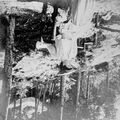 Thumbnail for version as of 01:01, 21 April 2024