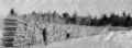Thumbnail for version as of 12:08, 21 April 2024