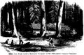 Thumbnail for version as of 15:35, 21 April 2024