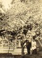 Thumbnail for version as of 05:51, 22 April 2024