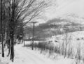 Thumbnail for version as of 12:37, 21 April 2024