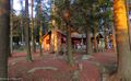 Thumbnail for version as of 12:03, 21 April 2024