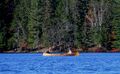 Thumbnail for version as of 02:54, 22 April 2024