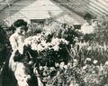 Thumbnail for version as of 03:21, 22 April 2024