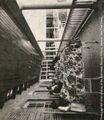 Thumbnail for version as of 06:14, 22 April 2024