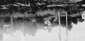 Thumbnail for version as of 10:04, 21 April 2024