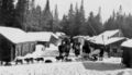 Thumbnail for version as of 11:36, 21 April 2024