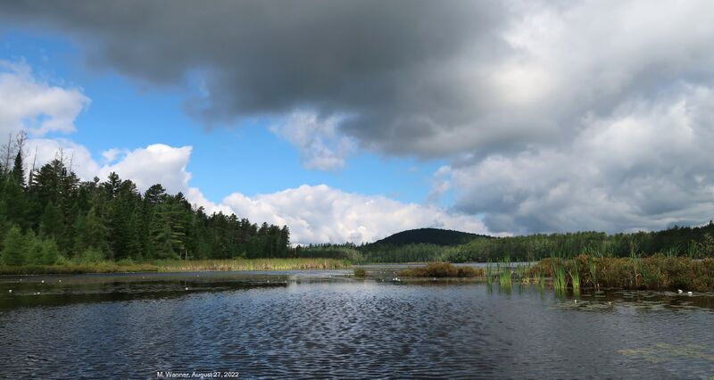 File:Jones Pond.jpg