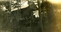 Thumbnail for version as of 04:26, 22 April 2024