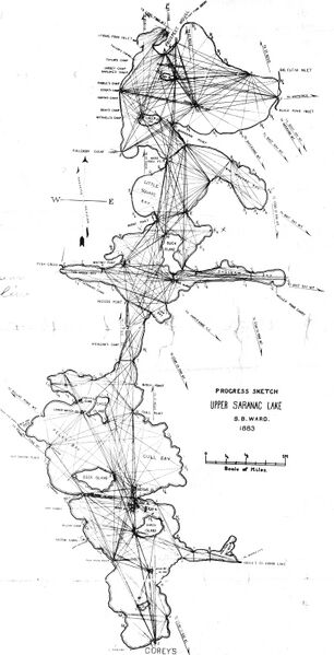 File:NYSA B1405-96 305 representation 11220 original 3.jpg