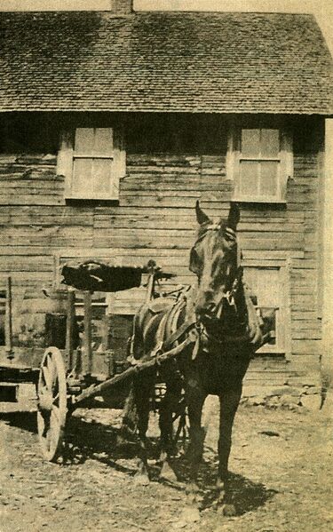 File:Horse and wagon.jpg