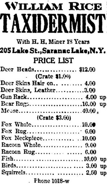 File:William Rice ad.jpg