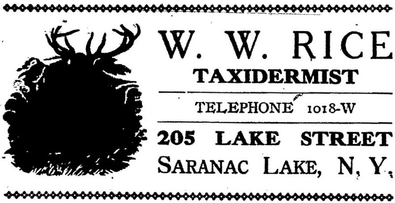 File:W.W. Rice Taxidermy ad.jpg