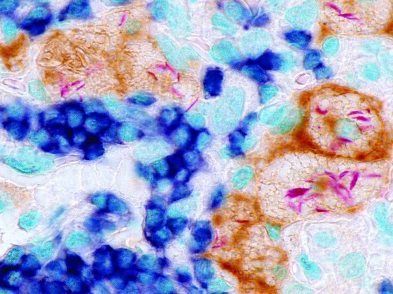 File:Science Art 6.jpg