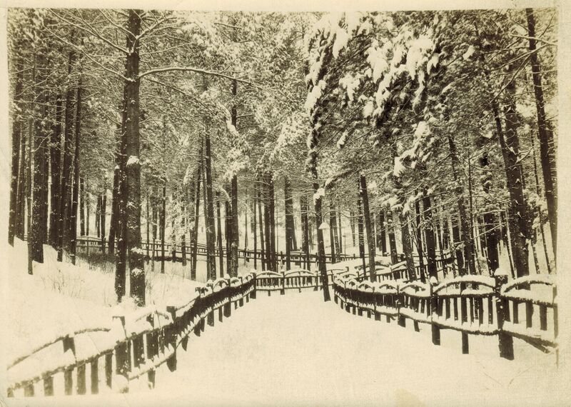 File:RayBrook 9.jpg