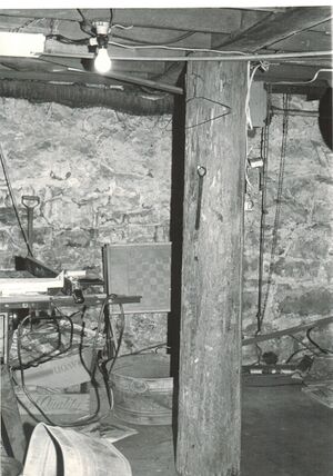 34ShepardAveCoulterCottageSept1989BasementTreeTrunkPost.jpeg