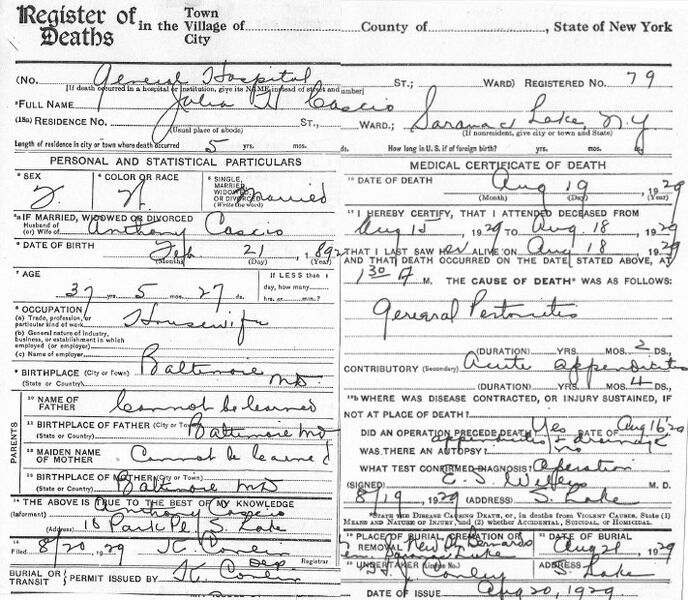 File:CascioJuliaSaranacLakeNYDeathCert.jpg