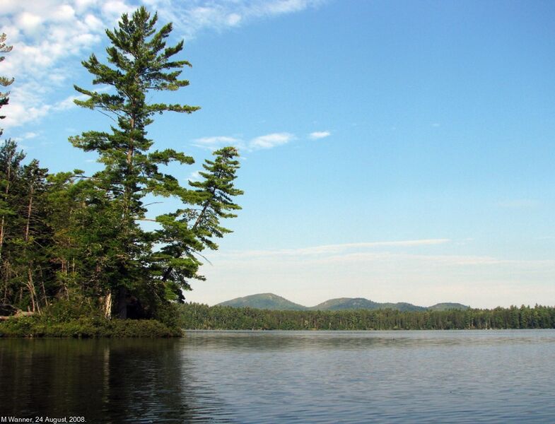 File:Osgood Pond.jpg